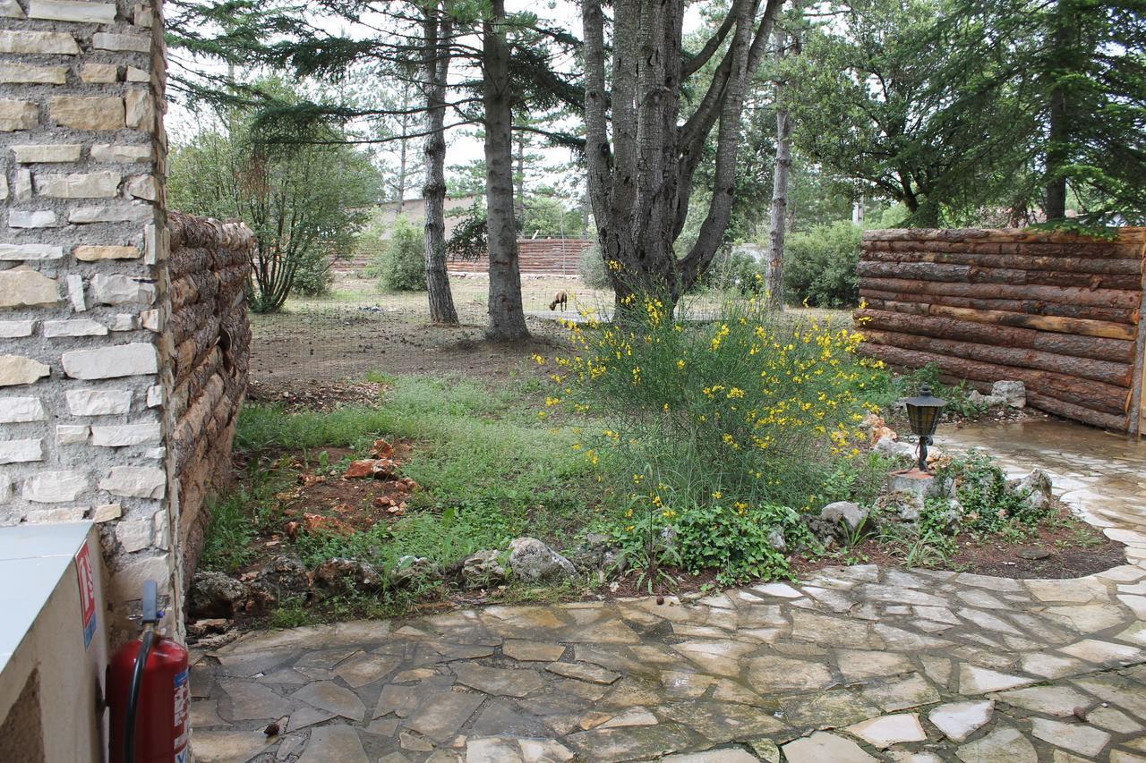 L'Hotel Du Bastier Ginasservis Εξωτερικό φωτογραφία